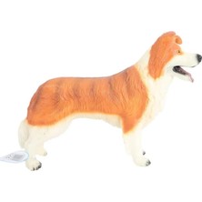 Assess Store Model Köpek Turuncu Beyaz Lessie