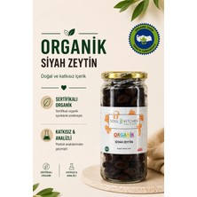 Soul Kitchen Organik Siyah Zeytin 310 gr