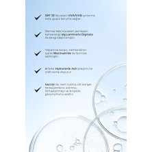 Assess Store Alix Avien Kırışıklık Karşıtı Nemlendirici SPF30 Parlak Bitişli Fondöten Care Enhancer 817