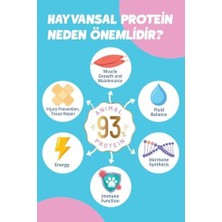 Daisy Home Solomon Kitten Yavru Tavuklu Süper Premium Kedi Maması 9 kg - Hipoalerjenik - Düşük Tahıllı - Yüksek Hayvansal Proteinli - Tüy Dökülme Engelleyici - Kolay Sindirilebilir - Kedi Maması (1,5x6 Adet)