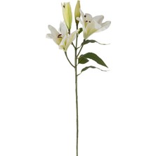 Assess Store Zarif Zambak Çiçeği Beyaz 75CM