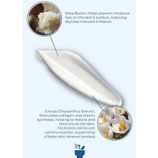 Assess Store Cosmed 4c Cica Cream, Hasarlı Cilt Için Yatıştırıcı ve Onarıcı Bariyer Kremi, 75 ml