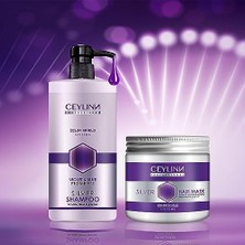 Assess Store Silver Şampuan 500 ml