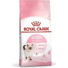 Daisy Home Canin Kitten Kuru Kedi Maması, Yavru Kedi, 4 kg