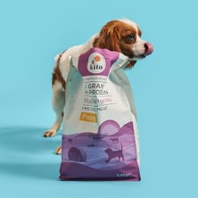 Daisy Home Kito Doğal Besi Kuzu Etli Yavru Köpek Maması 2.5 kg