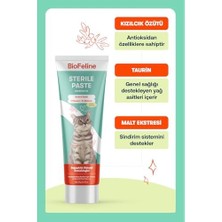 Daisy Home Biofeline Sterile Paste Kısırlaştırılmış Kedilere Özel Multivitaminli Malt Macunu 30 G