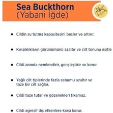Assess Store By Sweden Sea Buckthorn Misel Temizleme Suyu Yağlı ve Karma Ciltler, 400 ml