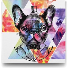 Assess Store French Bulldog - 70X70CM
