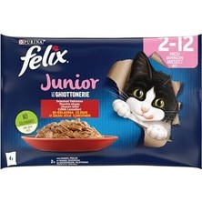 Daisy Home Felix Yavru Kedi Avantajlı Paket (12X4= 85GR)