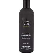 Assess Store Alfaparf Blends Of Many Enerji Veren Şampuan 250ML
