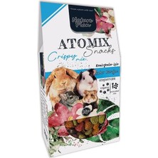 Assess Store Atomix Snacks Çıtır Karışım 250 gr