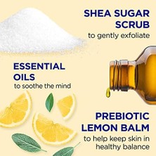Assess Store Dr.teals Prebiotic Lemon Balm Shea Sugar Scrub Vücut Peelingi 538GR