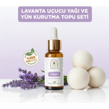 Sera Natura Lavanta Uçucu Yağı ve Yün Kurutma Topu Seti