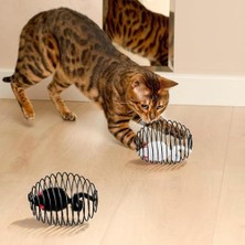 Daisy Home Kedi Oyuncağı Spiral Tel Top & Içinde Peluş Fare – Hareketli Zıplayan Kedi Topu, Avcılık Içgüdüsünü Geliştirir, Dayanıklı Metal Yay Top, Kediler Için Etkileşimli Eğlence Oyuncağı