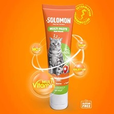 Daisy Home Solomon Multi Paste 100 gr Kediler Için Bağışıklık Sistemi Destekleyici Tüy Yumağı Oluşumunu Engelleyici 18 Farklı Vitamin Içerikli Multivitamin Malt Macunu