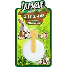 Daisy Home Jungle Kemirgen Yalama Taşı