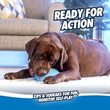 Daisy Home Chuckit! Indoor Super Slider Eve Özel Interaktif Oyuncak