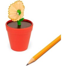 Daisy Home Saksıda Çiçek Kalemtıraş