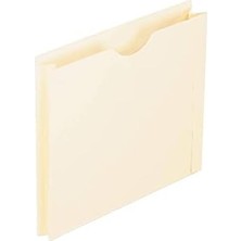 Daisy Home Dosya Ceketleri, Mektup Boyutu, Manila, 2" Genişletme, Başparmak Kesimli Güçlendirilmiş Düz Kesim Sekmeler, Kutu Başına 50 (22200EE), Bej
