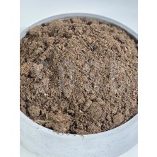 Daisy Home Professional Premium Torf, Ph 5.5-6.5, Pg Mix Gübreli ve Islatıcı Ajan Katkılı Bitki Yetiştirme Ortamı, 0-20 Mm, 1 Lt