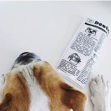 Daisy Home Pet Qwerks Hışırtılı Gazete Sesli Köpek Oyuncağı
