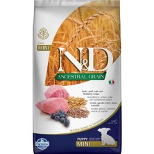 Daisy Home N&d Ancestral Grain Kuru Köpek Maması, Kuzu, Kılçıksız Buğday, Yulaf ve Yabanmersinli, Yavru Köpek Mini, 2.5 kg