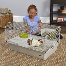 Daisy Home Cavie Guinea Pig Kafesi ve Tavşan Kafesi | Evcil Hayvan Kafesi, Başlamanıza Yardımcı Olacak Tüm Aksesuarları ve 1 Yıl Garanti Içerir