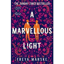 Daisy Home A Marvellous Light: A Dazzling, Queer Romantic Fantasy