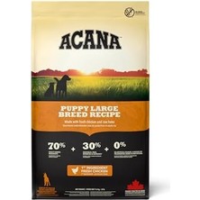 Daisy Home Acana Puppy Large Breed Köpek Maması 17 kg