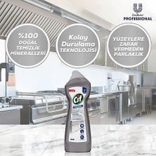 Daisy Home Cif Profesyonel Çok Amaçlı Krem Temizleyici 750 ml