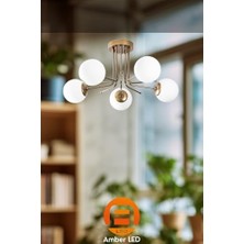 Daisy Home LED Şık Metal Gövdeli 5'li Plafönyer Mutfak ve Salon Için E27 Uyumlu, Bej-5