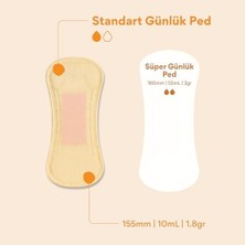 Daisy Home Beije 10'lu Standart Günlük Ped