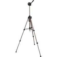 Daisy Home "star 61"