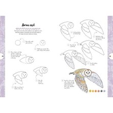Daisy Home 10:: Draw 60 Plants & Animals In 10 Easy Steps