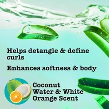 Daisy Home Maui Moisture Curl Quench+ Hindistan Cevizi Yağı Nemlendirici Kıvırcık Smoothie, Kremsi Silikonsuz Stil Krem Krem, Örgü, Bükümlü ve Yıkama ve Git Tarzları Için, Vegan & Paraben Içermez, 12 Oz