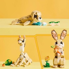 Daisy Home Creator 3’ü 1 Arada Sevimli Tavşan 31162-8 Yaş ve Üzeri Çocuklar Için Lama ve Fok Figürüne Dönüşebilen Yaratıcı Oyuncak Yapım Seti, Doğum Günü Hediyesi (326 Parça)