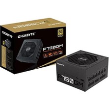 Daisy Home Gıgabyte 750W - GP-P750GM - 80+ Altın
