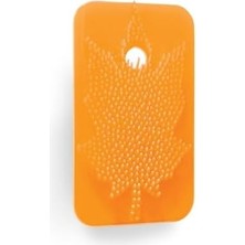 Daisy Home Sihirli Koku Yaprağı Mango (4'LÜ),1473
