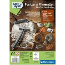 Daisy Home Bilim ve Oyun Fosiller ve Mineraller Kazı Seti