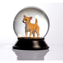 Daisy Home Cam ve Reçine Altın Patiler Köpek Chihuahua (Kayısı) Kar Küresi Hediye