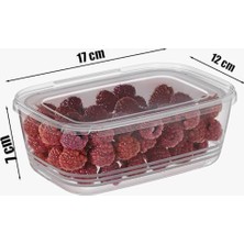 Daisy Home 1072 30'lu Buzluk Düzenleyici Saklama Kabı Kendinden Kapaklı Derin Dondurucu Saklama Kabı 1 Lt Şeffaf