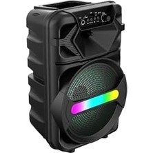 Daisy Home 20W 2400 Mah Mikrofonlu LED Işıklı Taşınabilir Bluetooth Hoparlör BTS-410