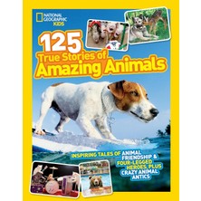 Daisy Home Geographic Kids 125 Stories Of Amazing Animals: Inspiring Of Friendship & Four-Legged Heroes, Plus Crazy Antics