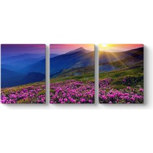 Daisy Home Kır Çiçekleri Duvar Tablosu 126 x 55-3 Parçalı
