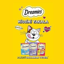 Teknocan Dreamies Karışık Ödül Maması Paketi 60 gr x 24, Kedi Ödül Mama