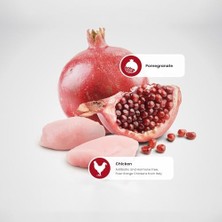 Teknocan N&d Tahılsız Tavuklu Narlı Kısırlaştırılmış Yetişkin Kedi Maması - 1,5 kg