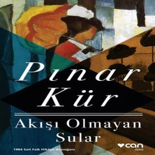Vintessy Akışı Olmayan Sular