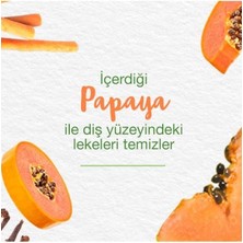 Teknocan Himalaya Since 1930 Işıltılı Beyazlık Bitkisel Beyazlatıcı Diş Macunu, Florürsüz, Parabensiz, Bitkisel Enzim, 75 ml