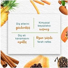 Teknocan Himalaya Leke Karşıtı Bitkisel Diş Macunu, Florürsüz, Parabensiz, Vejeteryan, Leke Çıkartıcı, Bitkisel Enzim Teknolojisi, 75 ml