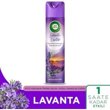 Teknocan Air Wick Aerosol Premium Koku Serisi Lavanta Esintisi Sprey Oda Kokusu (1 300 Ml)
